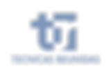 Tecnicas-Reunidas-Logo.png